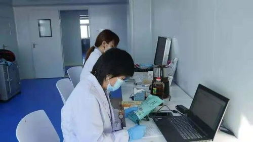 黑河市質(zhì)量技術(shù)檢驗檢測中心快檢服務(wù)助力綠農(nóng)信息技術(shù)咨詢發(fā)展